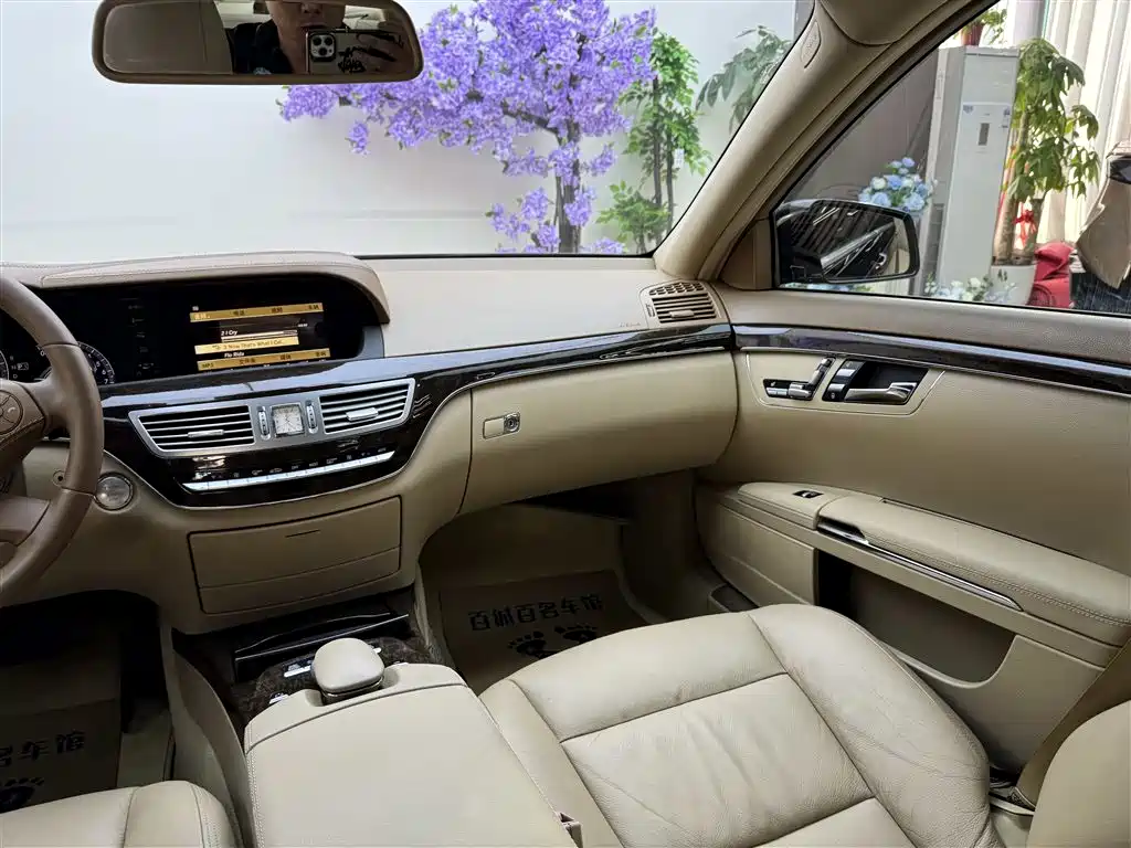 Mercedes-Benz S-Class 2010 S 300 L Business фото 15