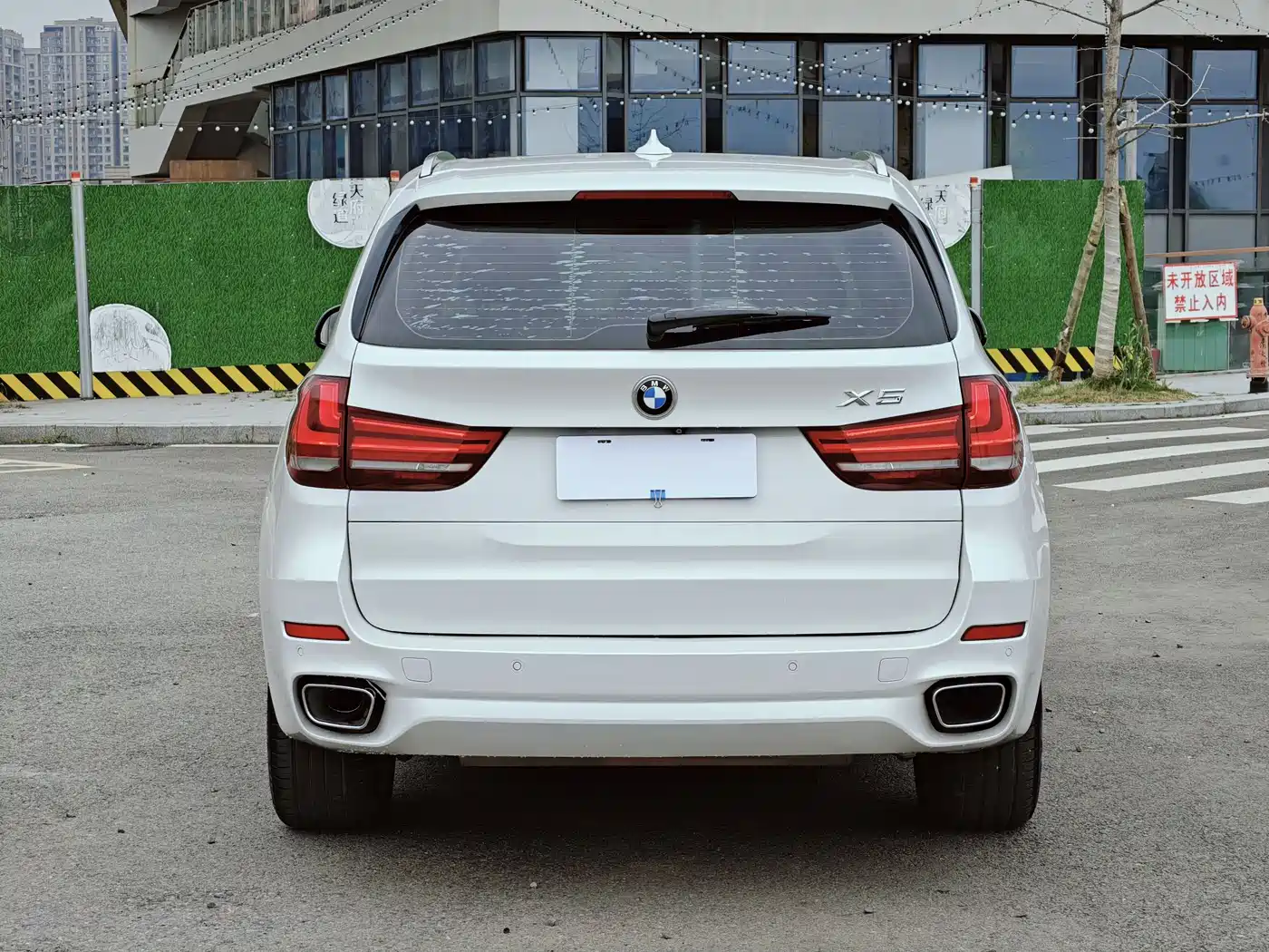 BMW X5 (Import) 2017 xDrive28i фото 4