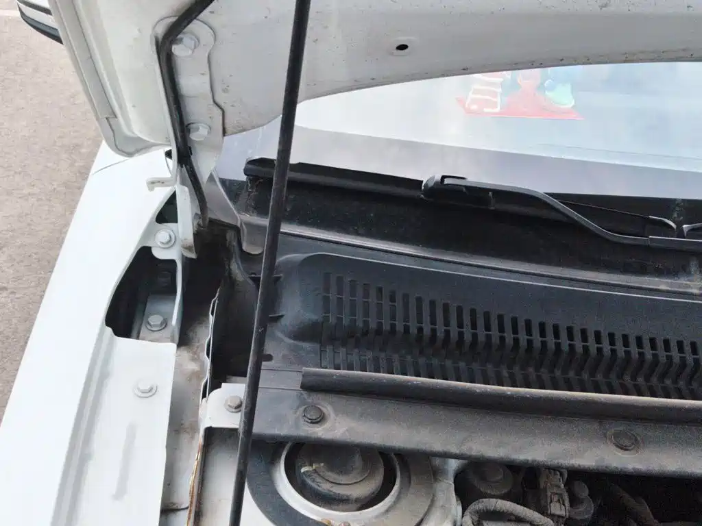 BYD e2 2021 2021 Standard