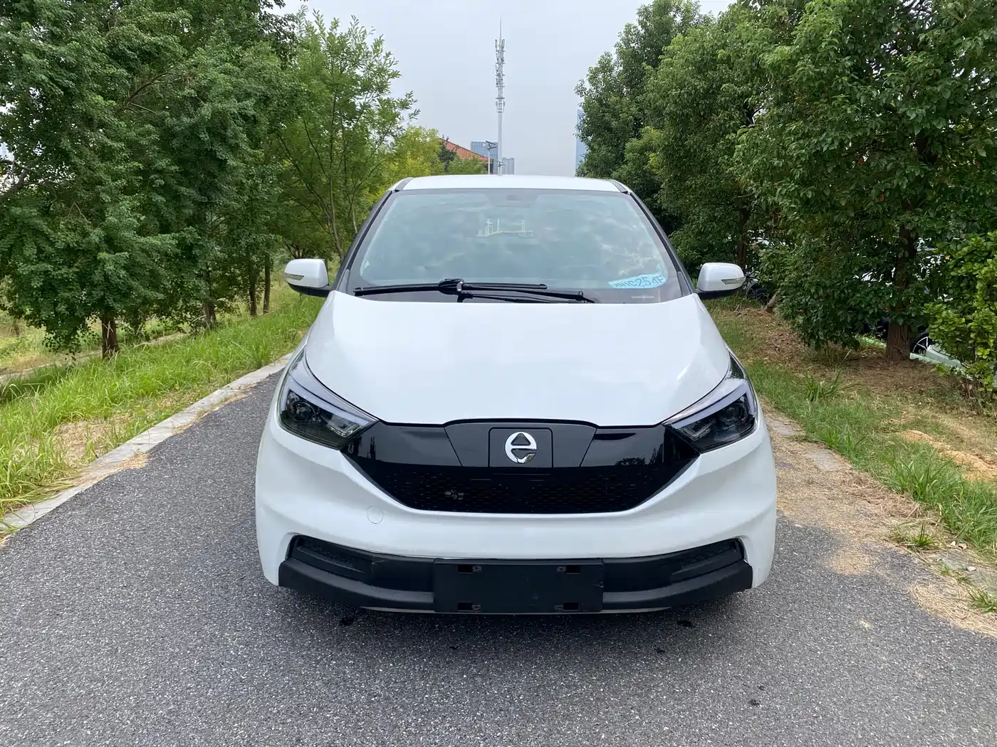 JMCG New Energy Yizhi EV3 2022 2022 Mini Radar Joy Run Edition