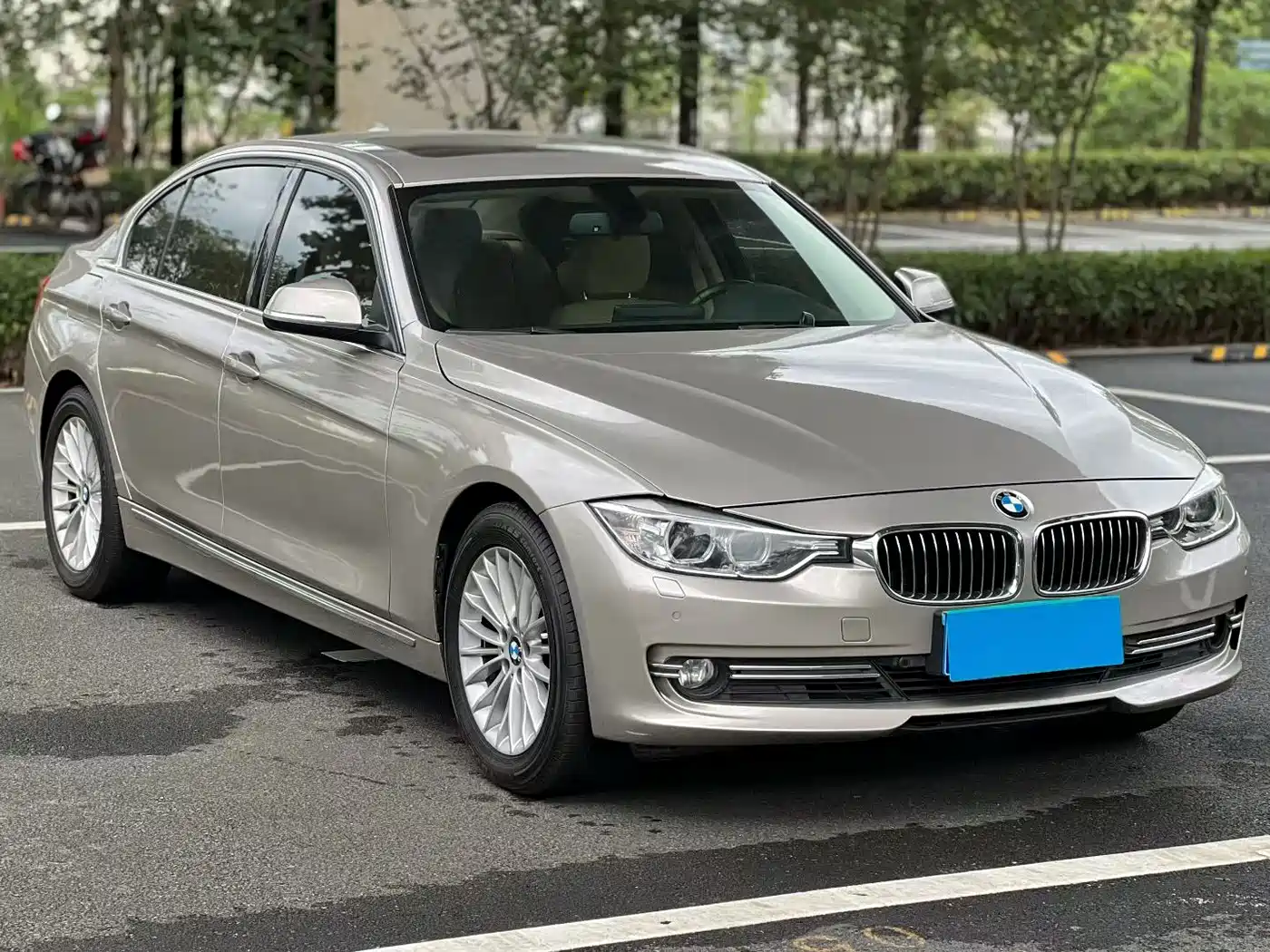 BMW 3 Series 2013 320Li Style Design Package фото 4