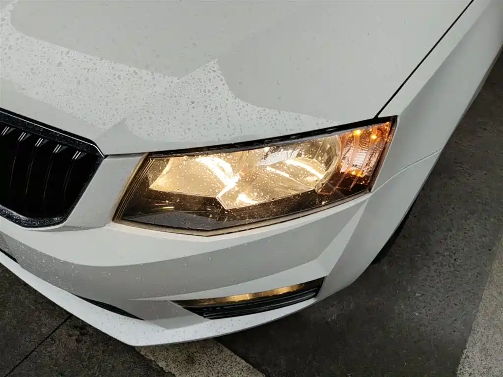 Škoda Octavia 2017 TSI280 DSG ZhiXing фото 24