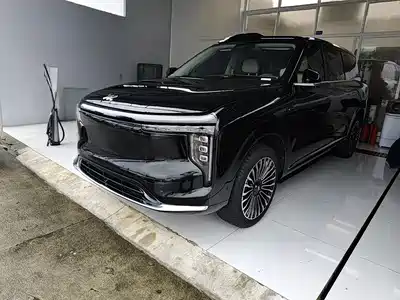 IM LS9