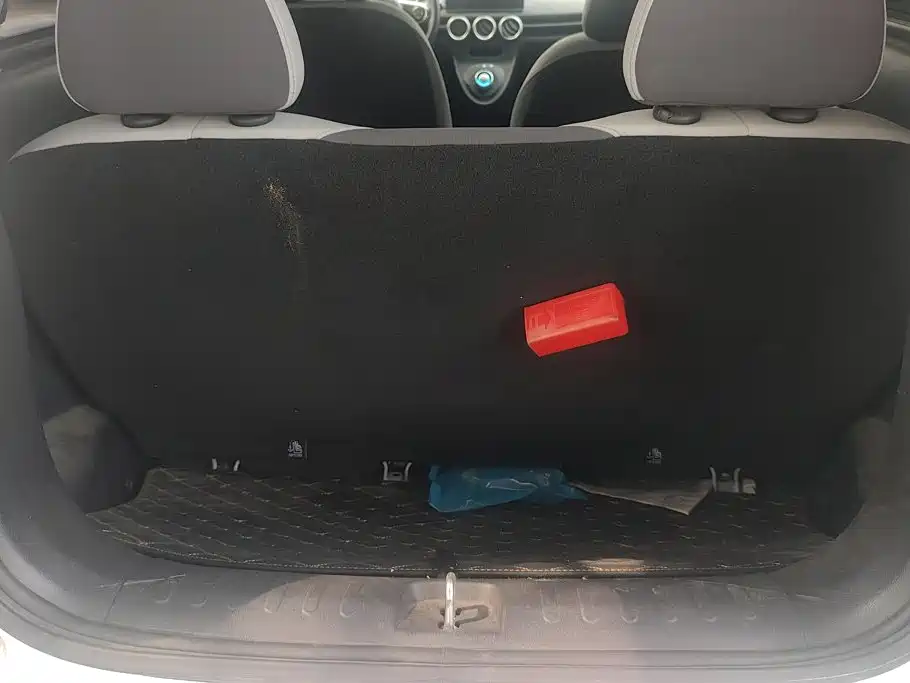 Ora Black Cat 2019 2019 Model 351km Smart Fun Edition
