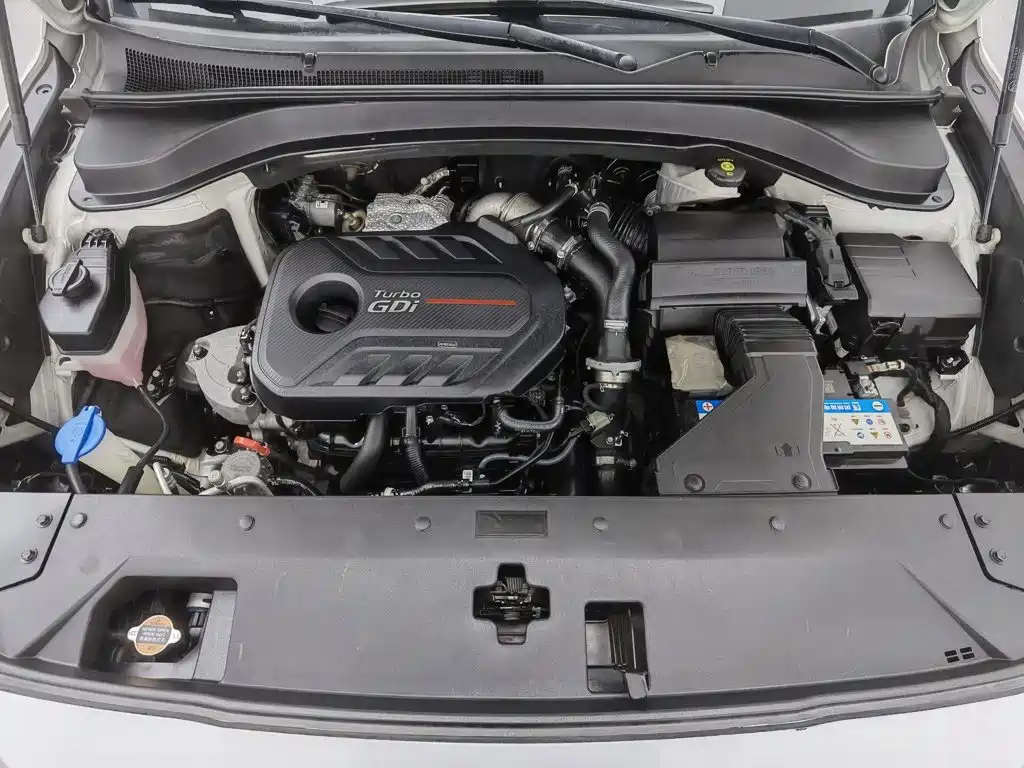Hyundai Santa Fe 2021 2020 380 TGDi Auto 2WD DLX Premium PLUS