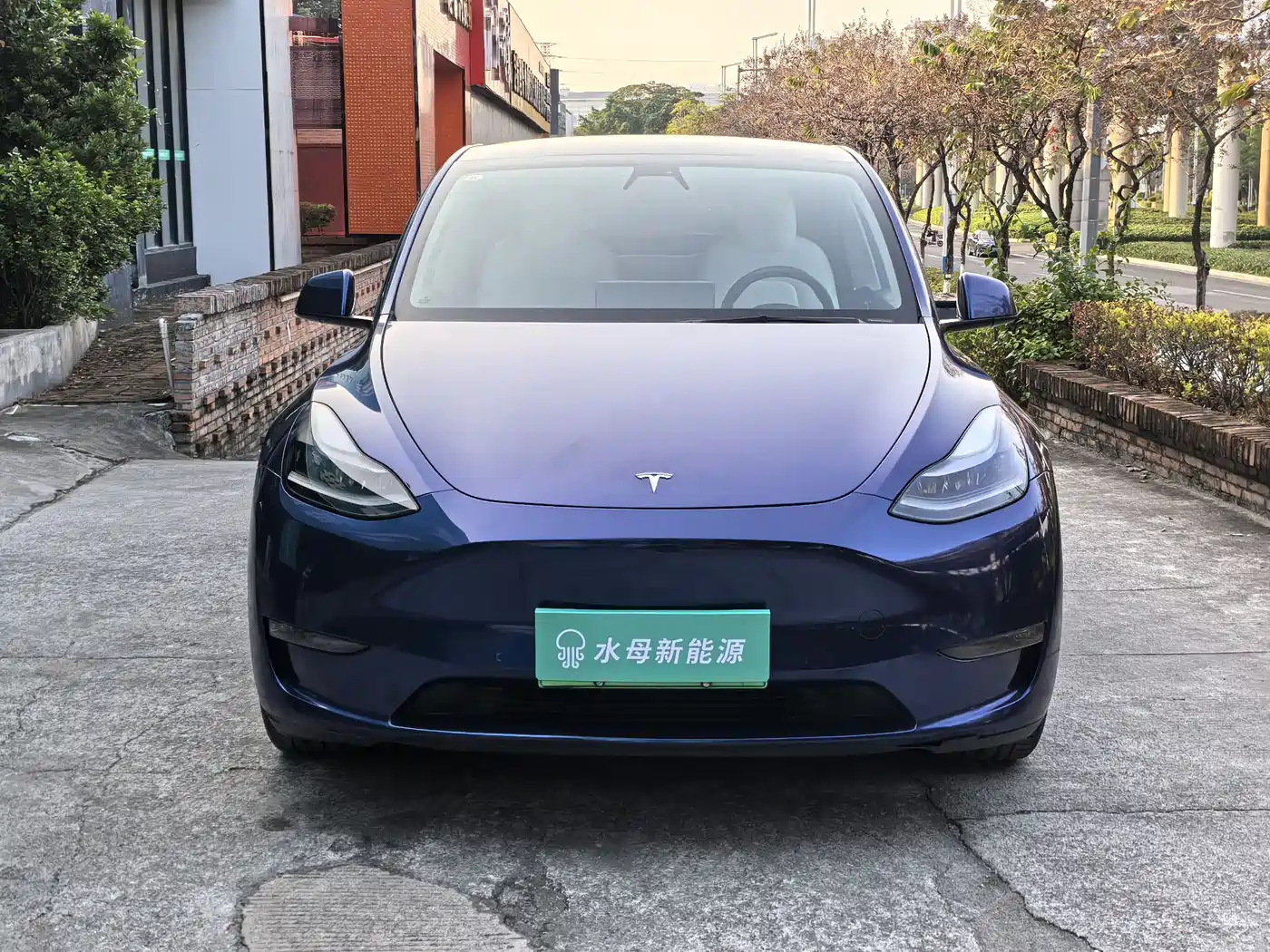 TESLA MODEL Y