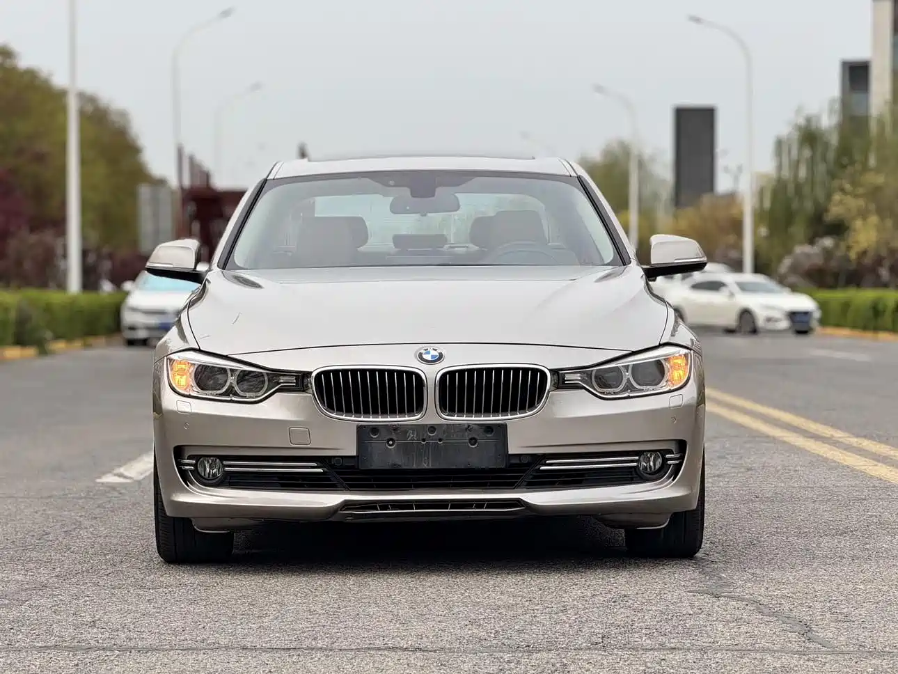 BMW 3 Series 2013 320Li Luxury Design Package фото 3