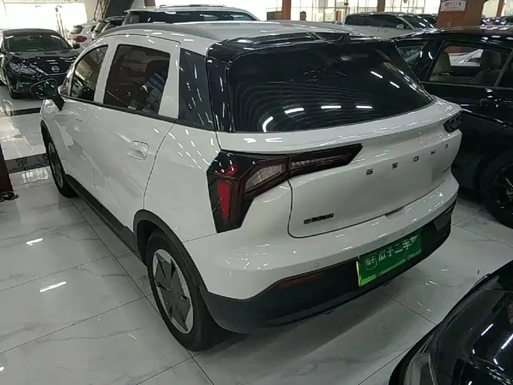 Geely Geometry E Firefly 2024 2024 401km Starlight