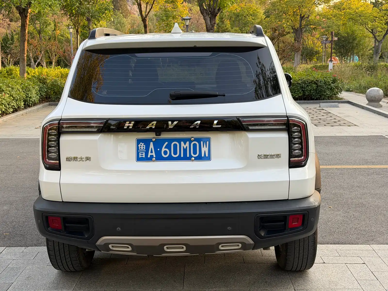 Фото 4 - Haval Dargo