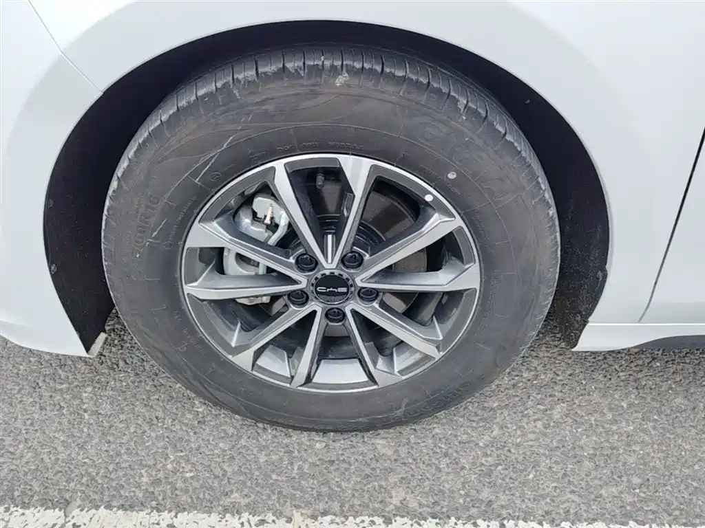 BYD Destroyer 05 2024 Glory Edition DM-i 55KM Luxury фото 23