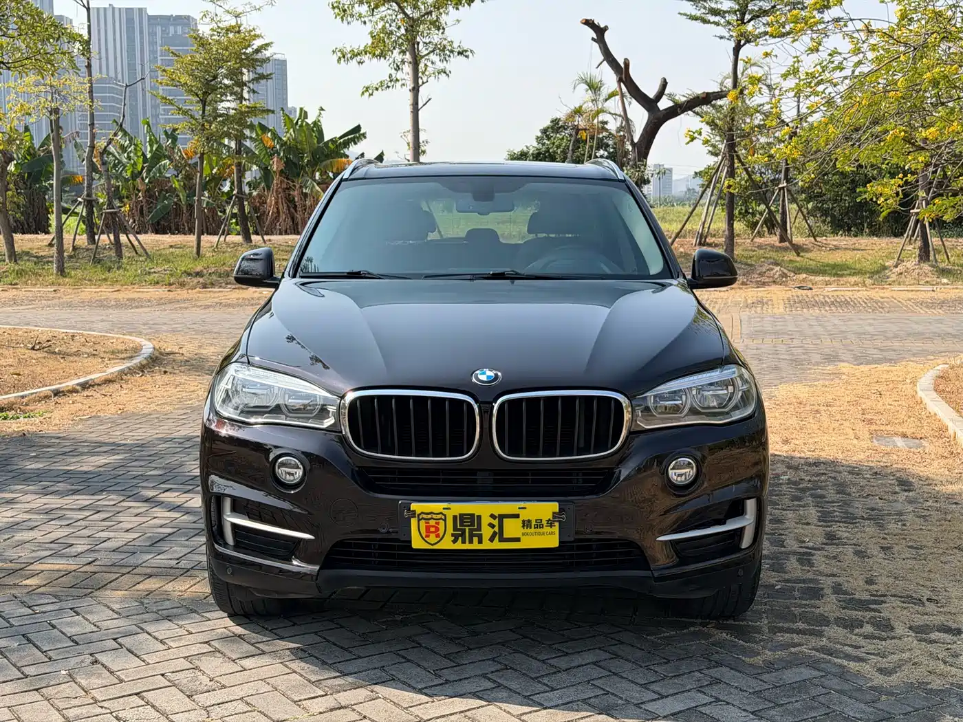 BMW X5 (Import) 2018 xDrive35i Elegant Model фото 2