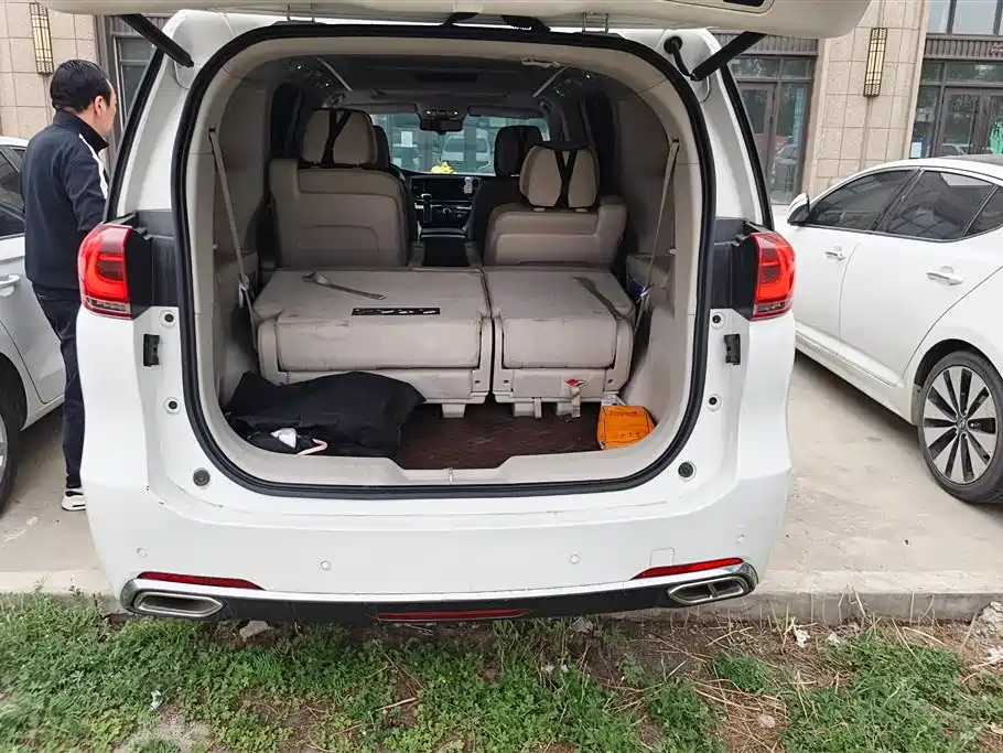 GAC Trumpchi Trumpchi M8 2018 320T Premium Edition фото 4
