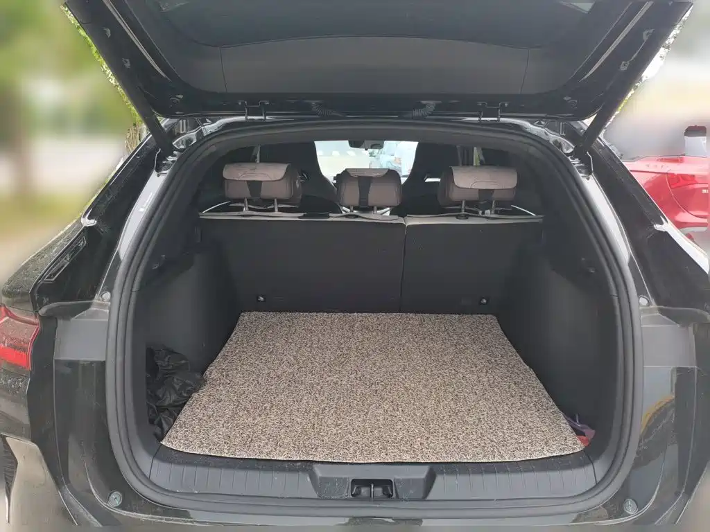 صورة 16 - BYD Song PLUS PHEV