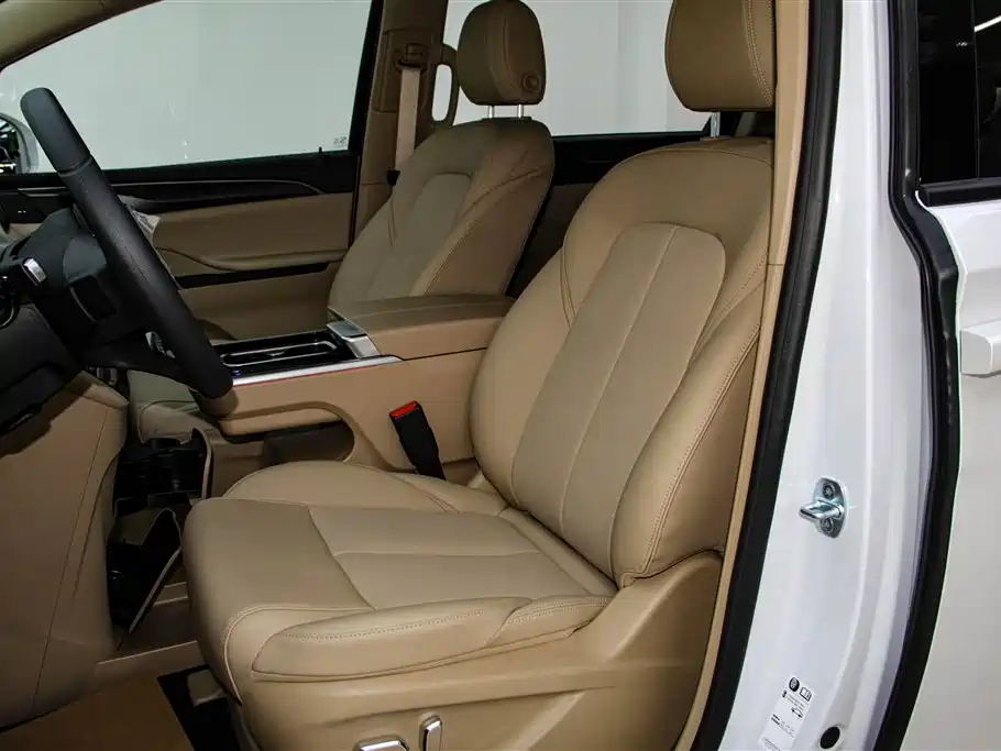 Buick GL8 2025 Land Business Class Comfort DG Edition фото 24