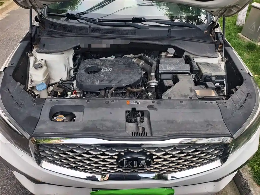 Kia KX7 2017 2.0T Automatic 2WD GLS 7-Seater фото 11
