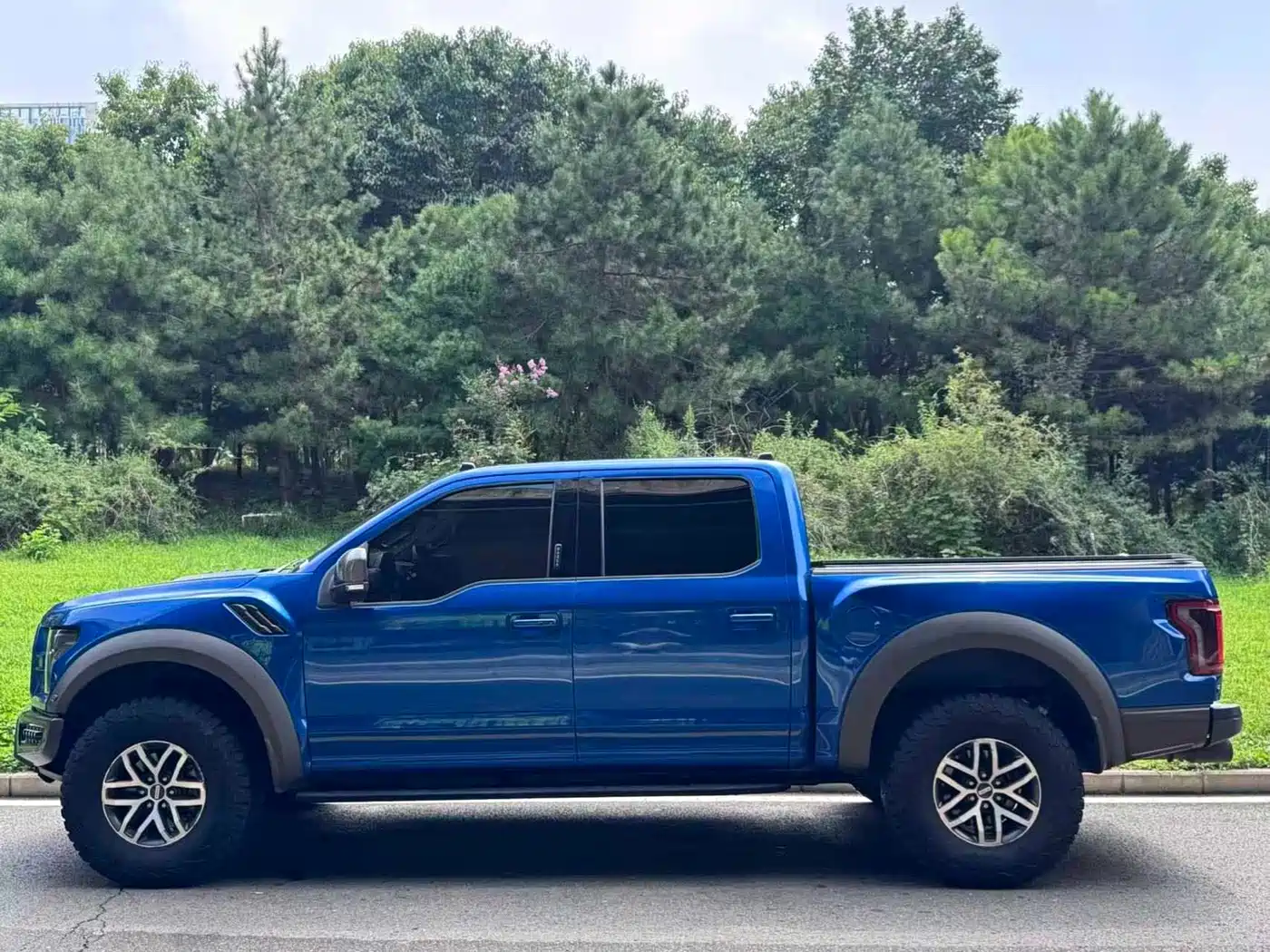 Ford F-150 Raptor 2018 2017 3.5T Raptor Performance Edition