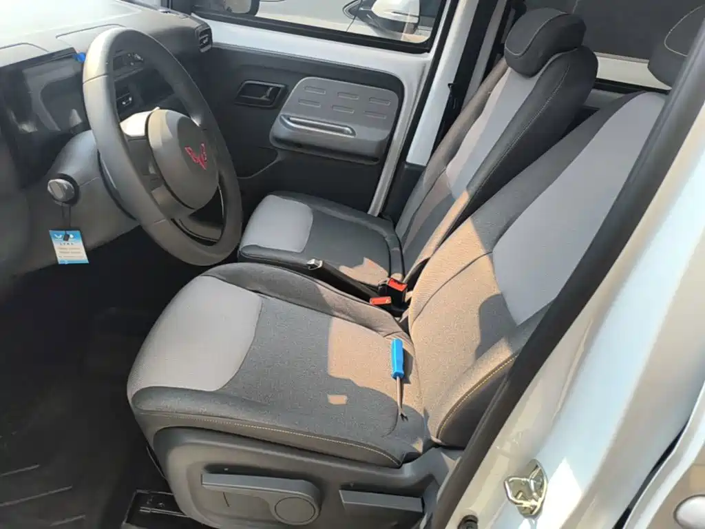 Wuling Motors Wuling Zhiguang NEV 2026 2025 Model 305km Base Version