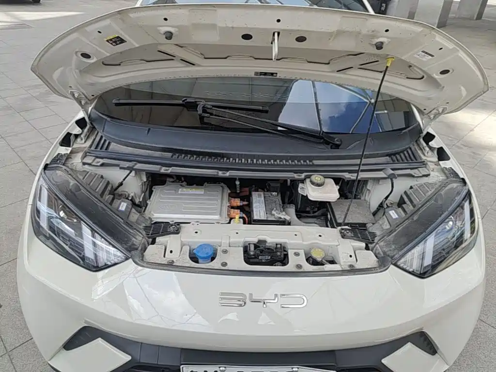 BYD Seagull 2023 2023 Vitality Edition
