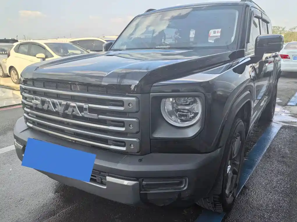 HAVAL RAPTORS NEW ENERGY