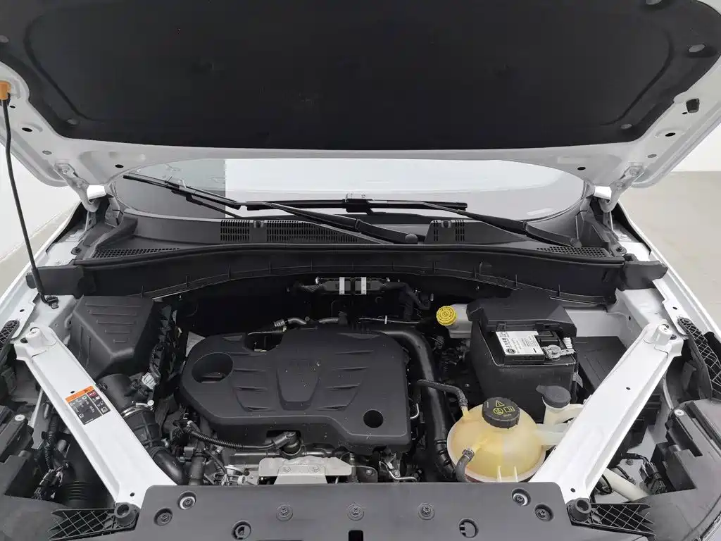 Фото 6 - Roewe RX5