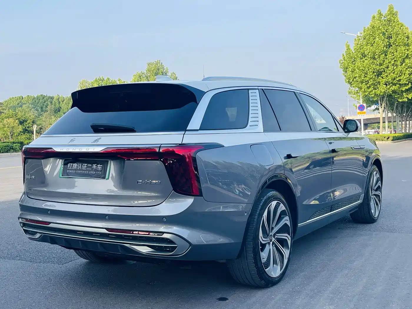 Hongqi E-HS9 2022 660km Qi Ling Edition (4-seater) фото 26