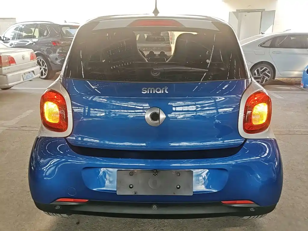 Фото 6 - smart forfour
