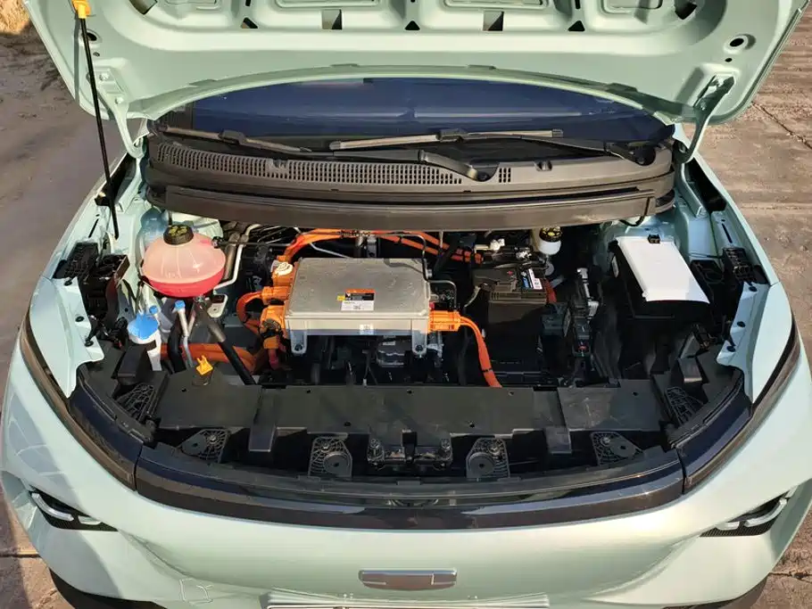 Geely Geometry E Firefly 2024 2024 Model 301km Starlight