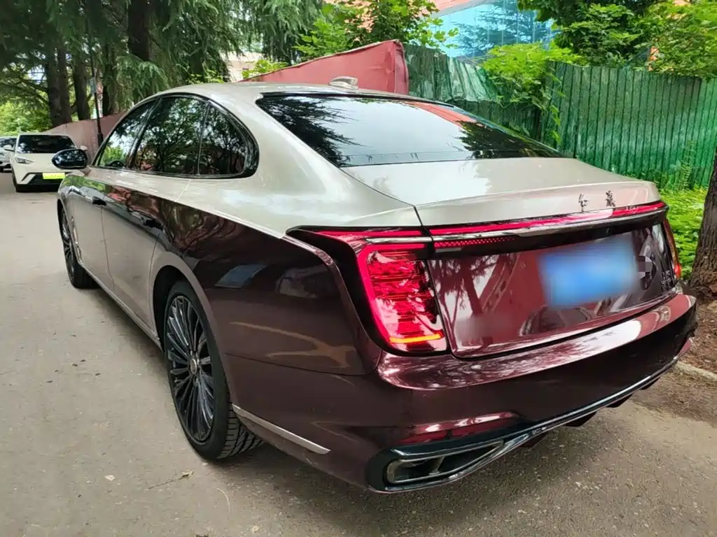 صورة 5 - Hongqi H9