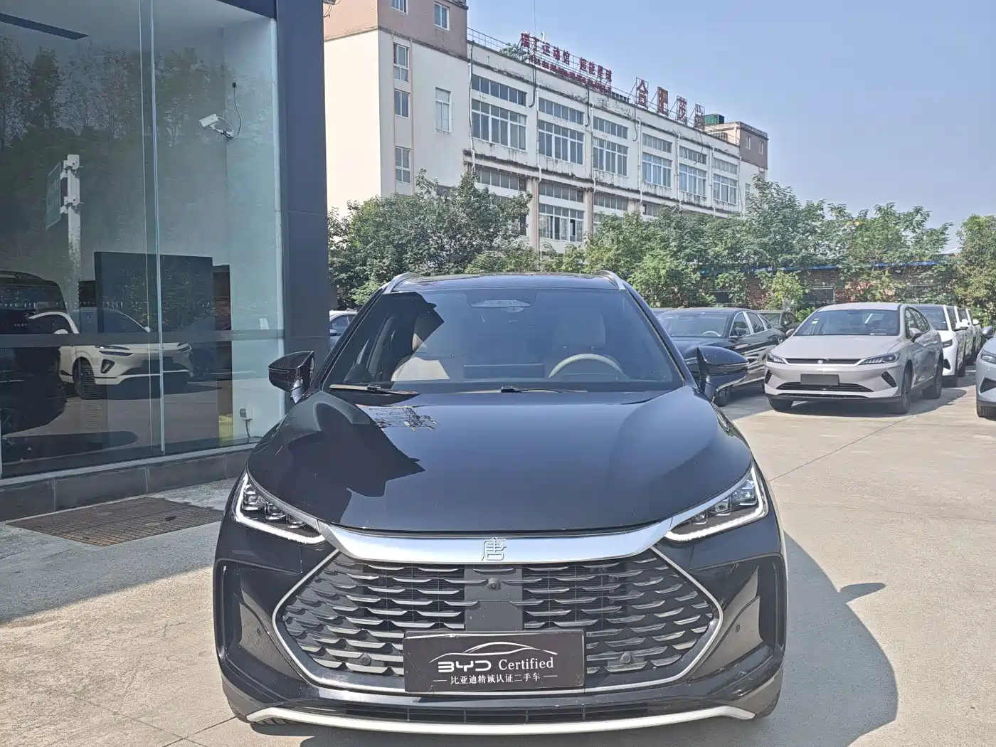 BYD Tang New Energy 2025 2025 Smart Driving Edition DM-i 115KM Flagship