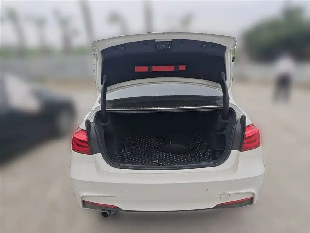 BMW 3 Series 2019 320Li M Sport Package фото 10