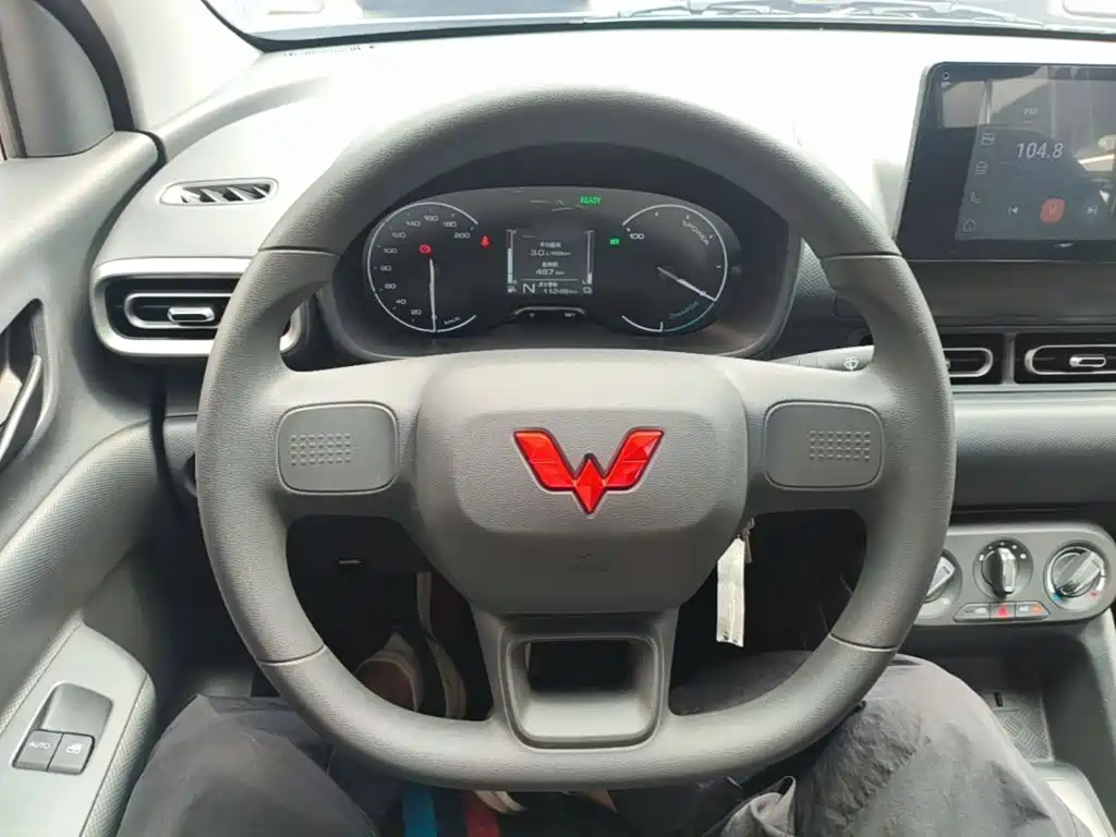 Фото 11 - Wuling Motors Wuling Hongguang New Energy