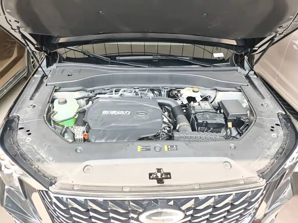 صورة 20 - GAC Trumpchi GS8
