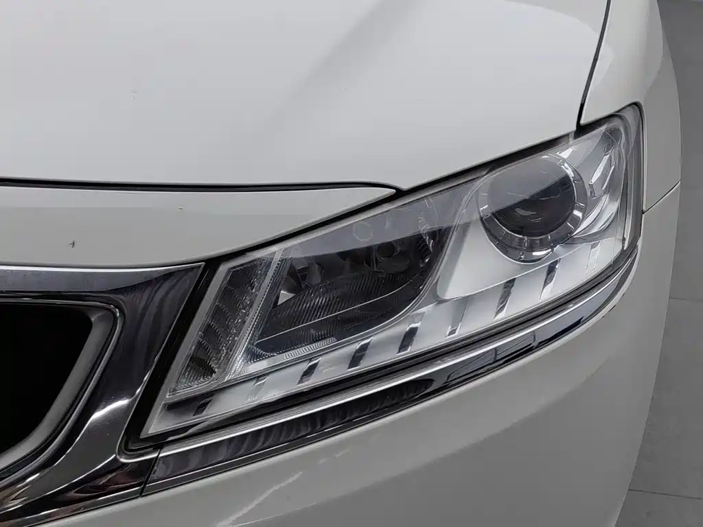 Фото 7 - Geely Borui