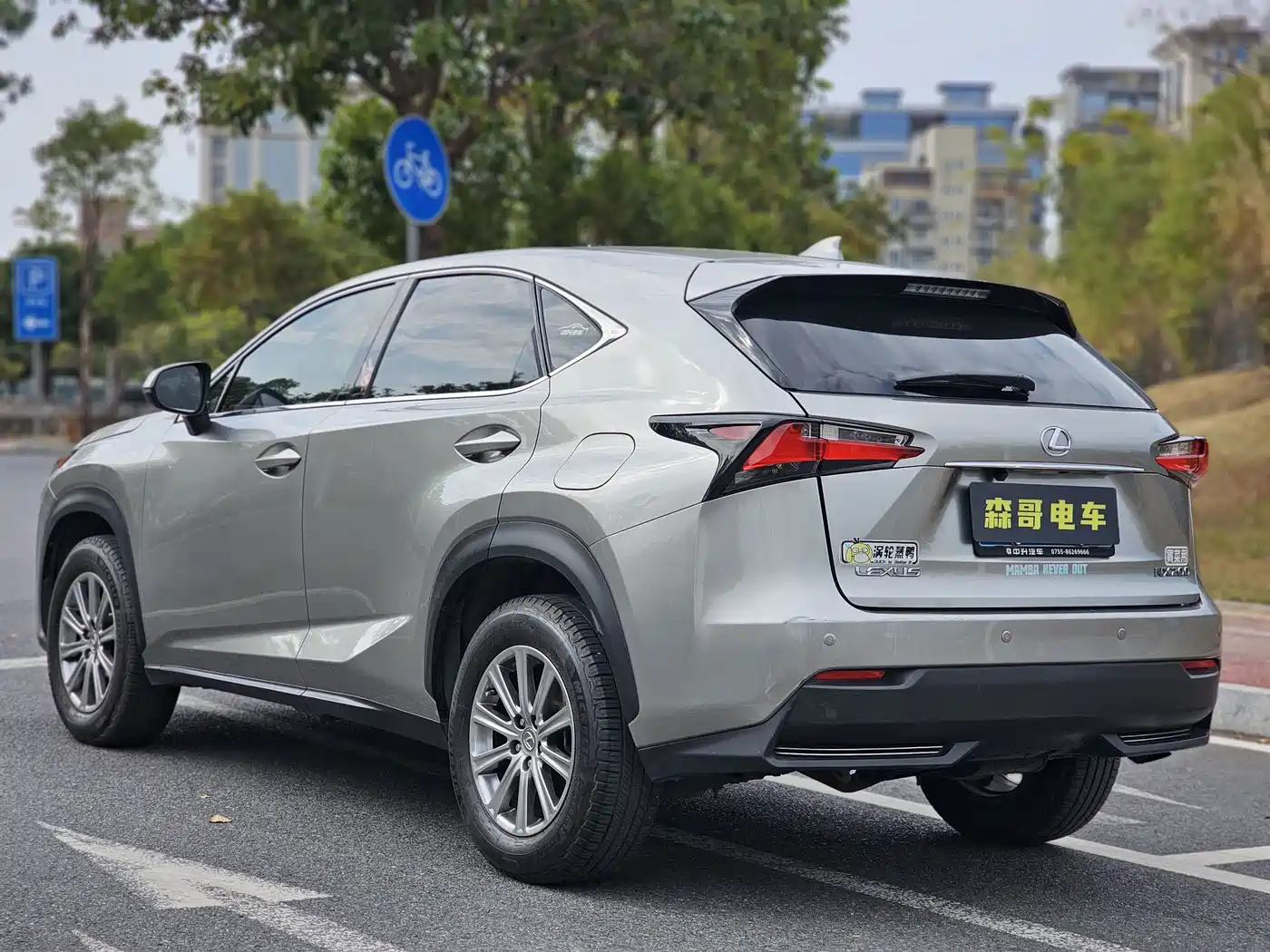 LEXUS NX