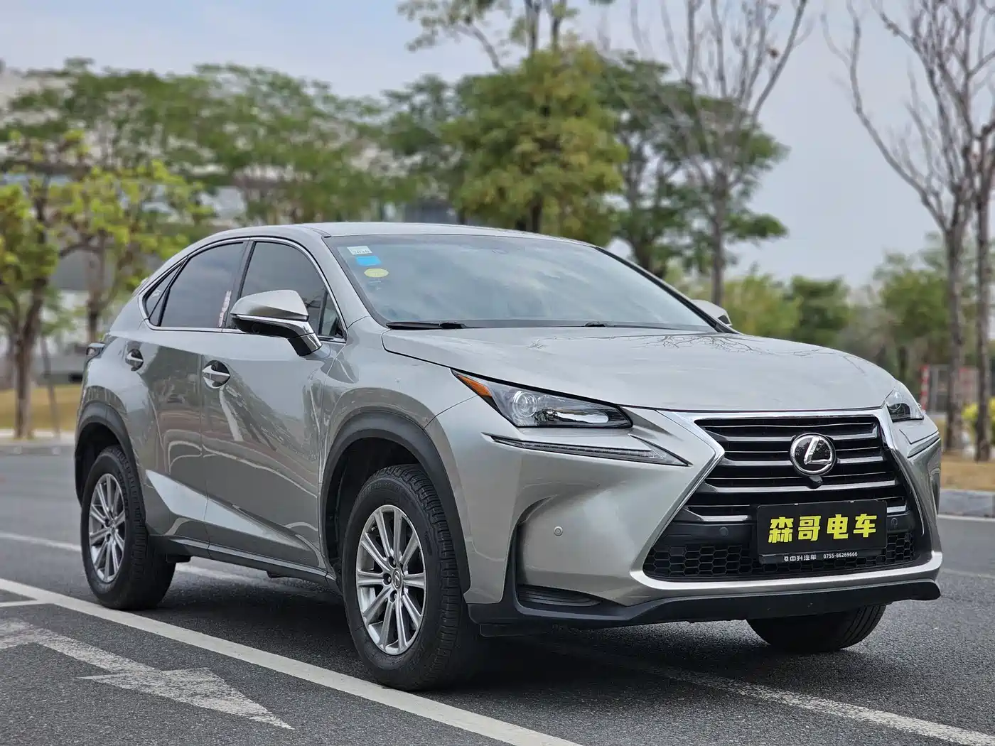 LEXUS NX
