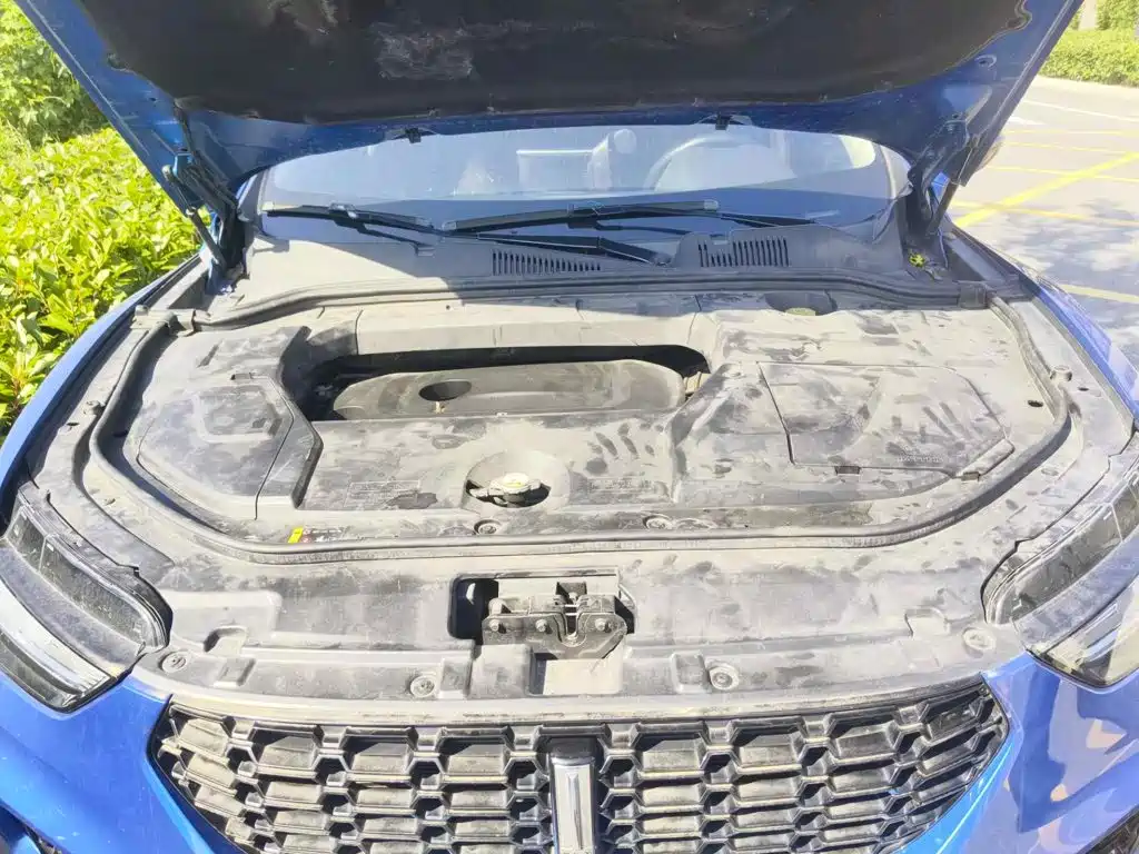 WEY VV5 2017 2017 2.0T Super Luxury Model