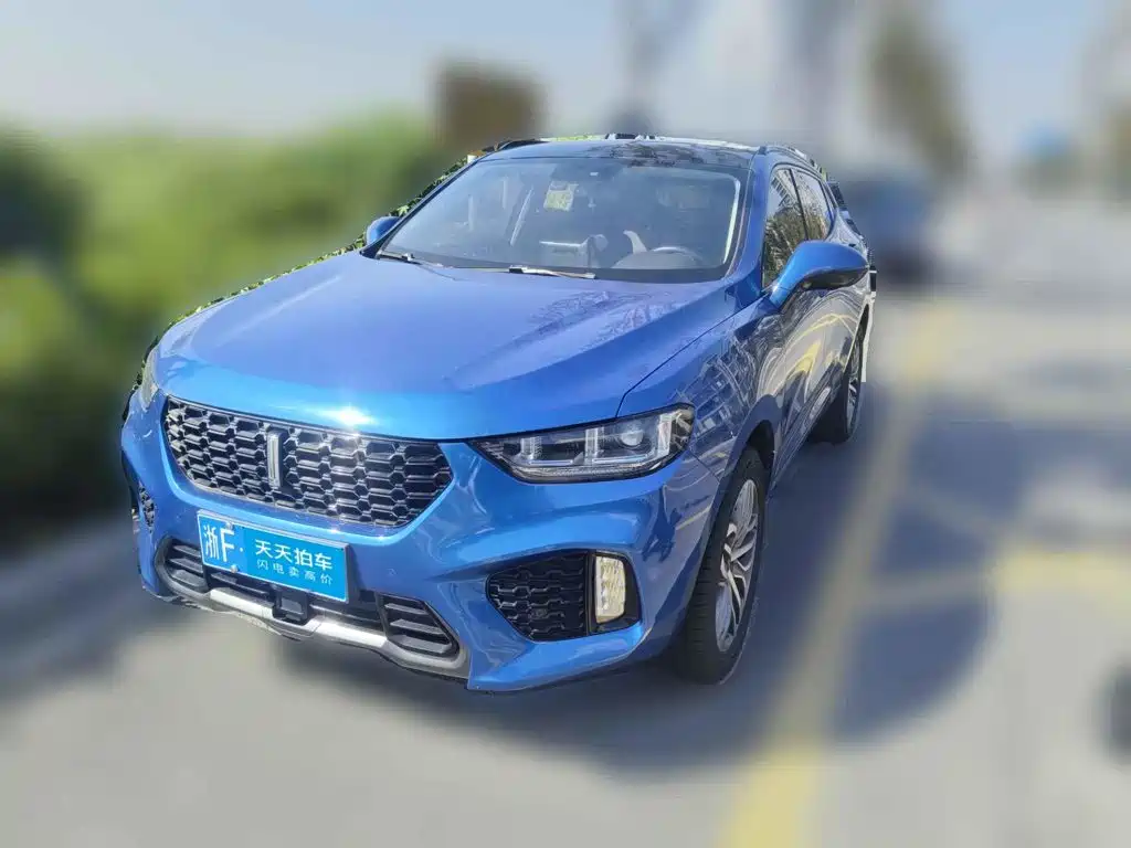 WEY VV5 2017 2017 2.0T Super Luxury Model