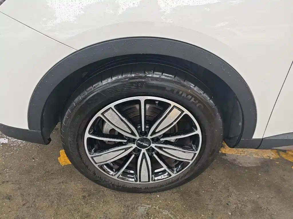 Haval H6 2024 2023 National Trend Edition 1.5T Automatic Champion