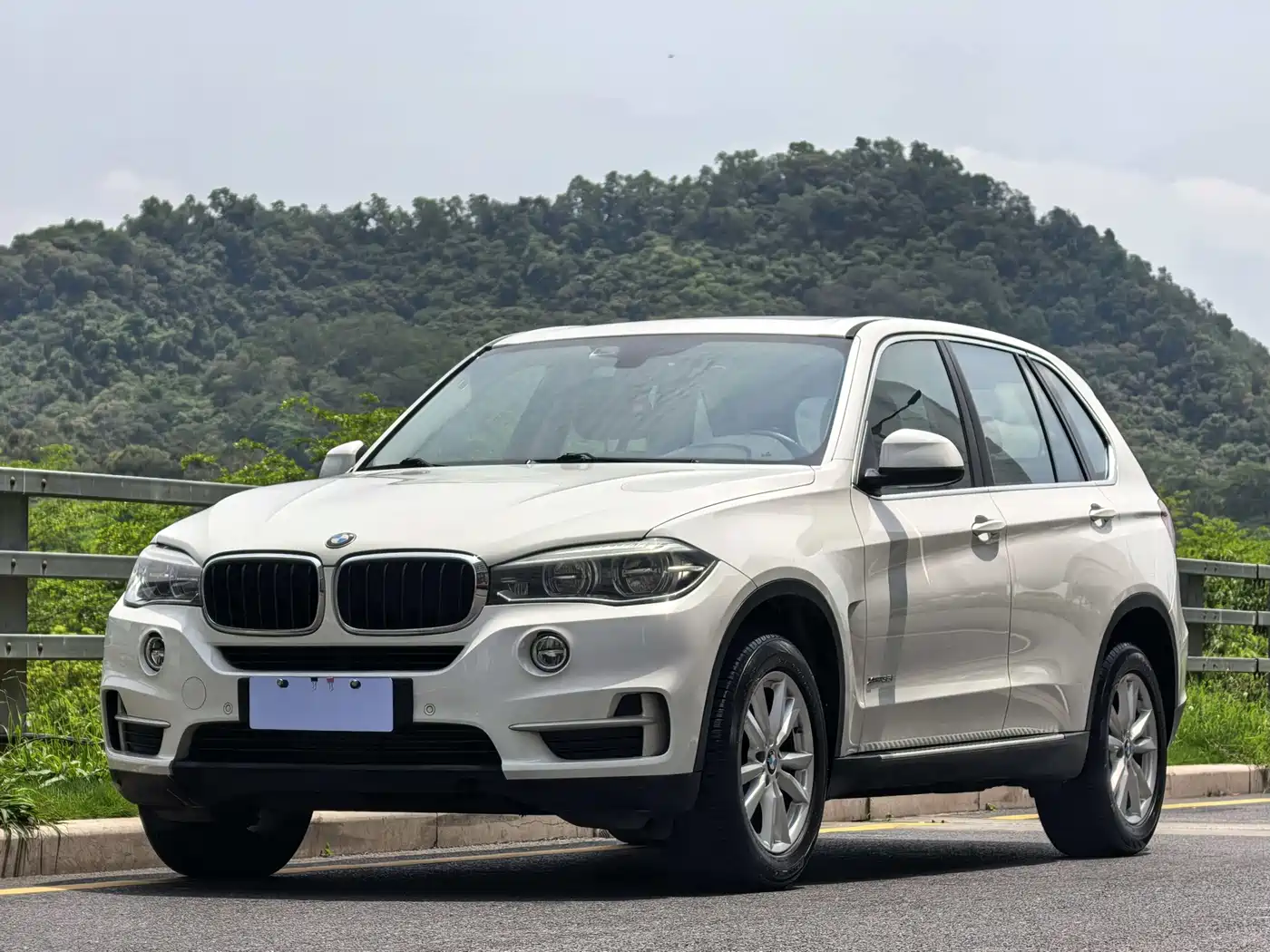 BMW X5 (Import) 2018 xDrive35i Elegant Model фото 2