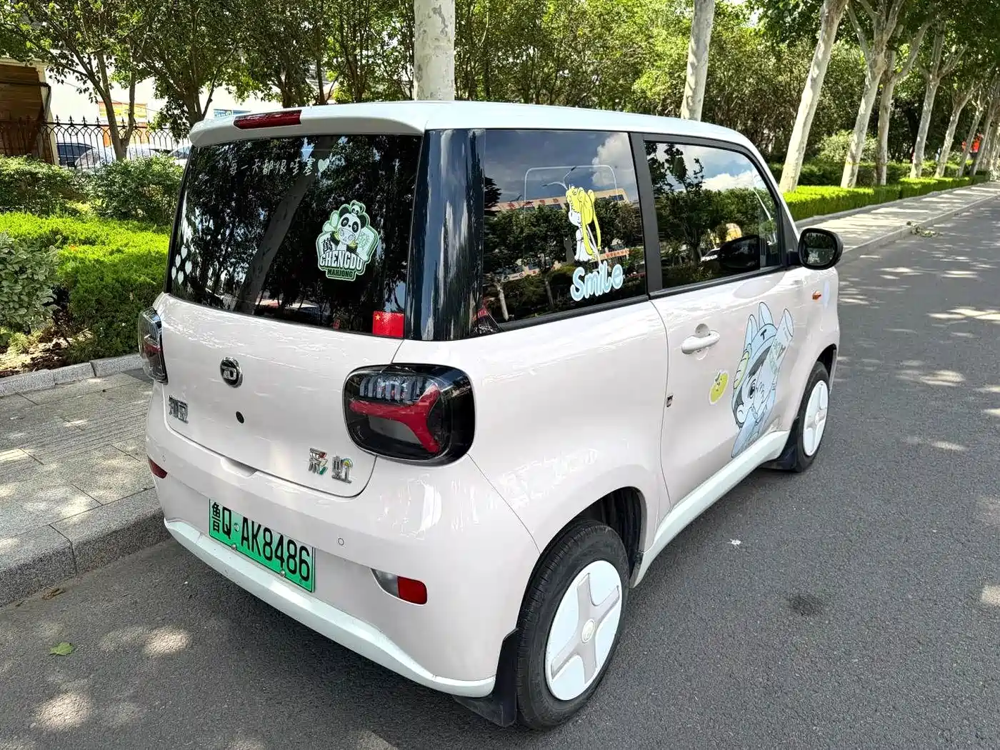 Zhido Rainbow 2025 2025 Pro 205km Sunshine Edition