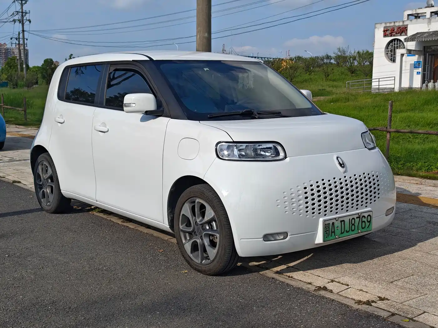 Ora White Cat 2021 2022 Upgraded 305km Luxury Edition LFP