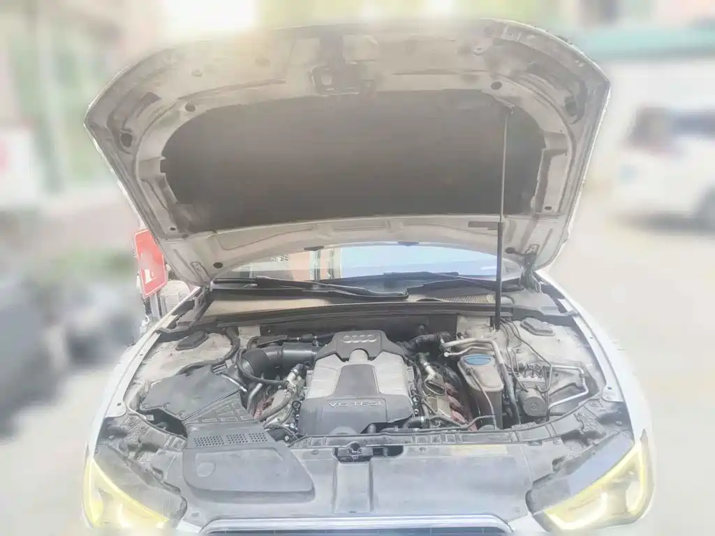 Фото 3 - Audi S5