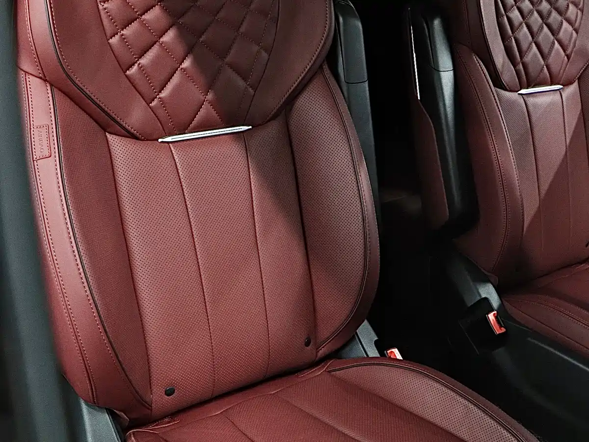 Hongqi E-HS9 2022 660km Qi Chang Edition (6-seater) фото 18