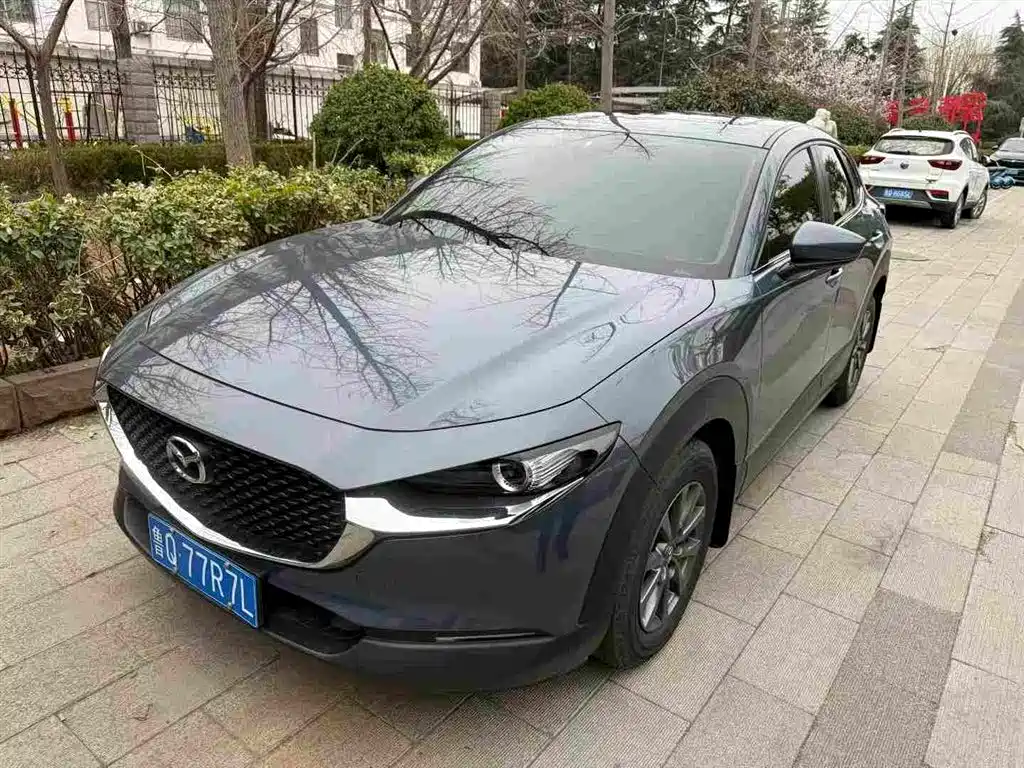 Mazda CX-30 2021 2.0L Auto Quality Delight Type