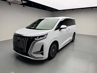 Denza D9