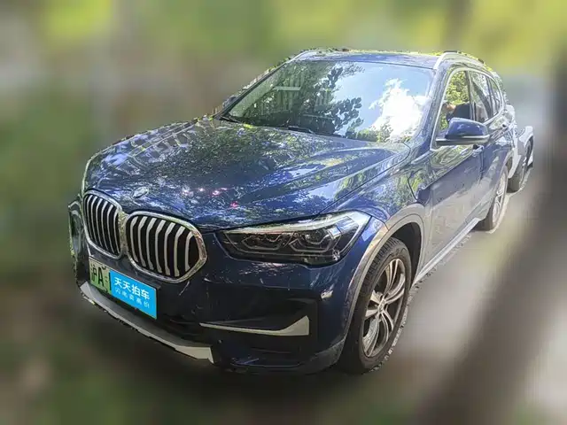 BMW X1 New Energy 2020