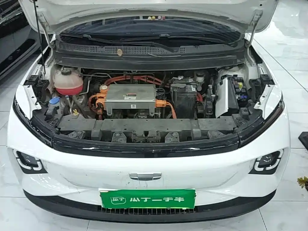 Geely Geometry E Firefly 2024 2024 401km Starlight