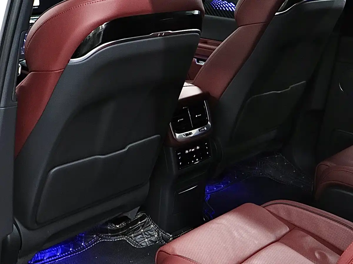 Hongqi E-HS9 2022 660km Qi Chang Edition (6-seater) фото 13