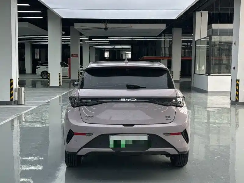 BYD Dolphin 2025 2025 Smart Drive Edition 410km Fashion Version