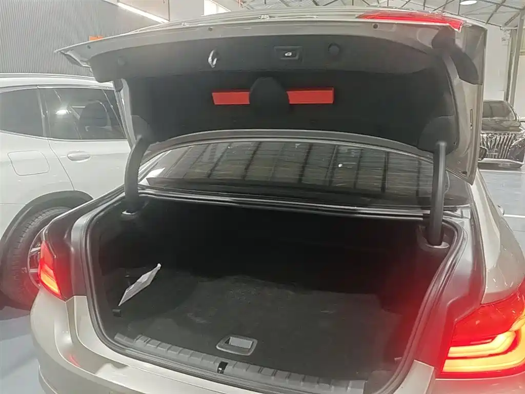 BMW 5 SERIES NEW ENERGY